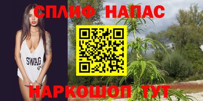 гашик Нальчик