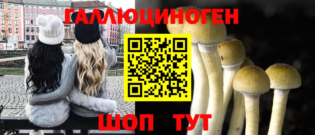 Солнечногорск  Галлюциногенные грибы ЛСД  Вход с VPN 