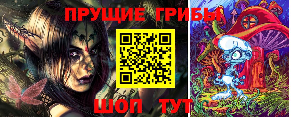 Псилоцибиновые грибы Psilocybine cubensis Солнечногорск